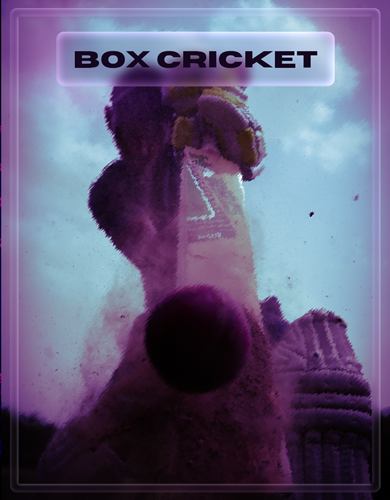 Box Cricket